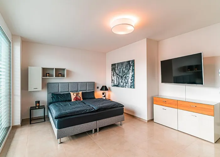 Poolhaus Bodensee Ideal Fuer Geschaeftsreisende
