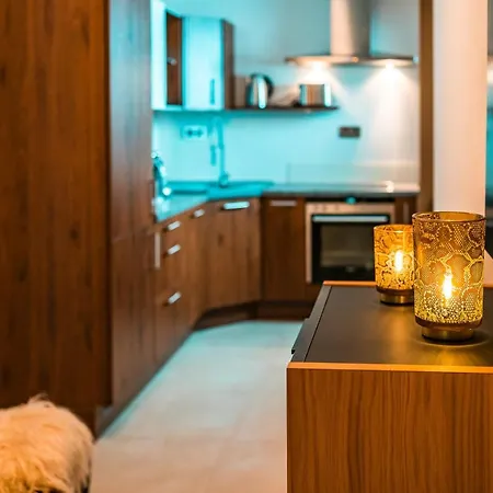 Poolhaus Bodensee Ideal Fuer Geschaeftsreisende * فاسربرغ