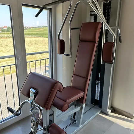 Poolhaus Bodensee Ideal Fuer Geschaeftsreisende * فاسربرغ